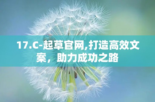 17.C-起草官网,打造高效文案，助力成功之路