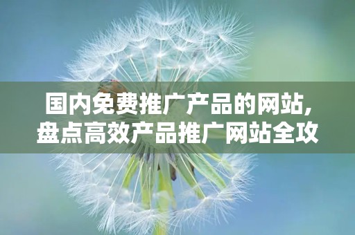 国内免费推广产品的网站,盘点高效产品推广网站全攻略