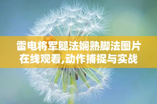 雷电将军腿法娴熟脚法图片在线观看,动作捕捉与实战解析