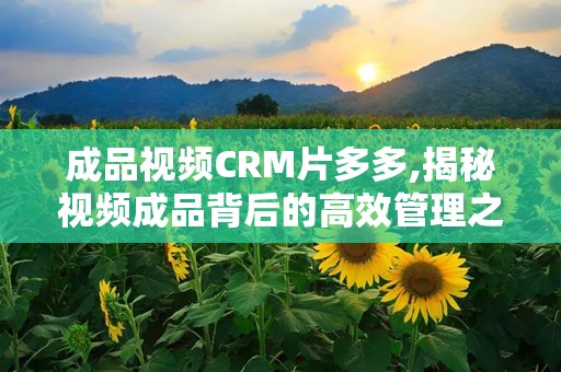 成品视频CRM片多多,揭秘视频成品背后的高效管理之道