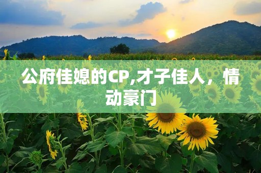 公府佳媳的CP,才子佳人，情动豪门