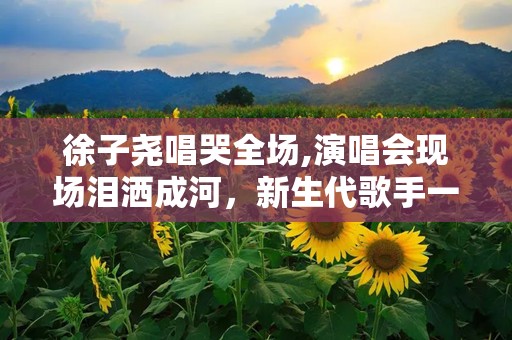 徐子尧唱哭全场,演唱会现场泪洒成河，新生代歌手一夜成名