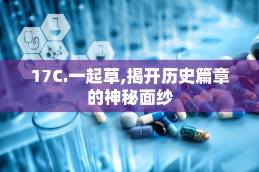 17C.一起草,揭开历史篇章的神秘面纱