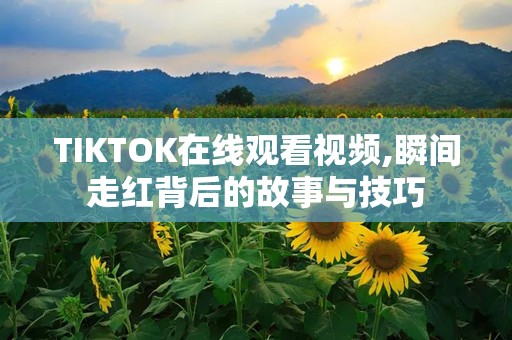 TIKTOK在线观看视频,瞬间走红背后的故事与技巧
