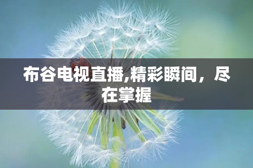 布谷电视直播,精彩瞬间，尽在掌握