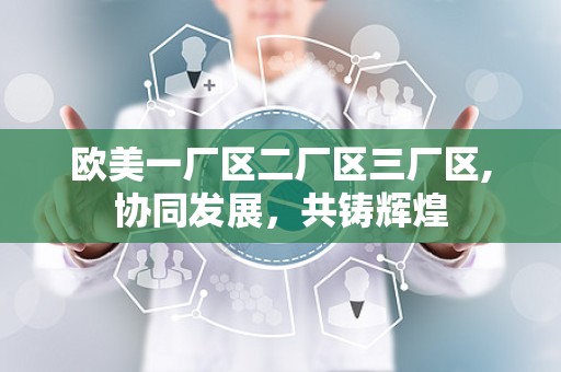 欧美一厂区二厂区三厂区,协同发展，共铸辉煌