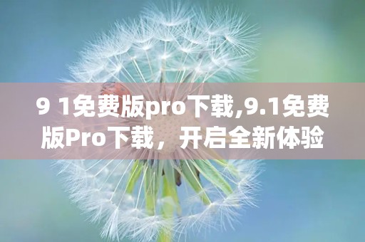 9 1免费版pro下载,9.1免费版Pro下载，开启全新体验之旅