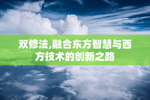 双修法,融合东方智慧与西方技术的创新之路