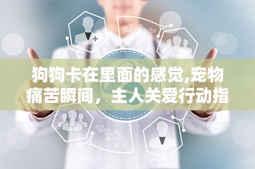 狗狗卡在里面的感觉,宠物痛苦瞬间，主人关爱行动指南