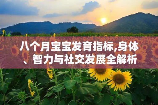 八个月宝宝发育指标,身体、智力与社交发展全解析