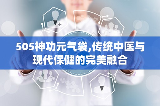 505神功元气袋,传统中医与现代保健的完美融合