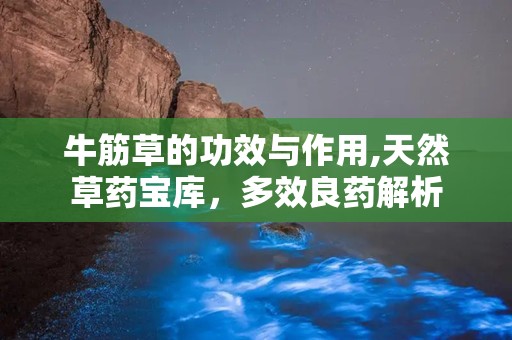 牛筋草的功效与作用,天然草药宝库，多效良药解析