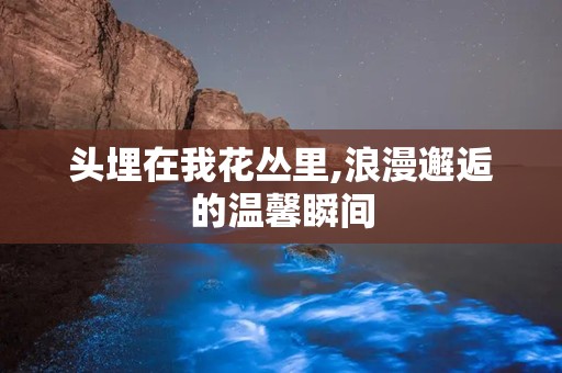 头埋在我花丛里,浪漫邂逅的温馨瞬间