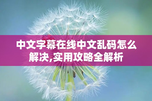 中文字幕在线中文乱码怎么解决,实用攻略全解析