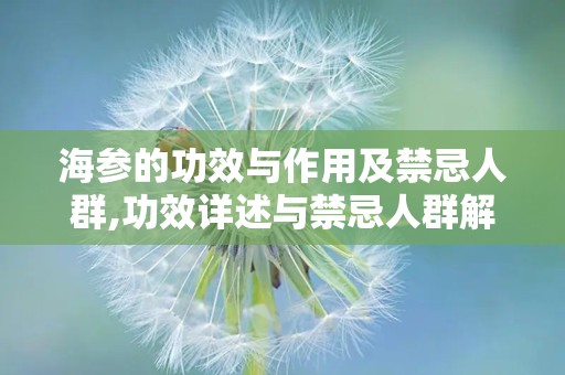 海参的功效与作用及禁忌人群,功效详述与禁忌人群解析