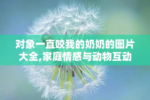 对象一直咬我的奶奶的图片大全,家庭情感与动物互动的温馨画卷