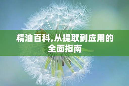 精油百科,从提取到应用的全面指南
