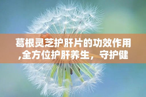 葛根灵芝护肝片的功效作用,全方位护肝养生，守护健康生活新选择”