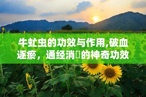 牛虻虫的功效与作用,破血逐瘀，通经消癥的神奇功效