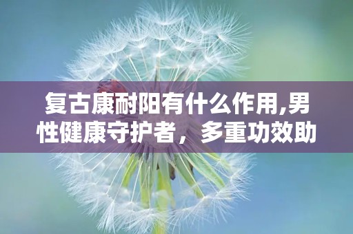 复古康耐阳有什么作用,男性健康守护者，多重功效助力生活品质提升”