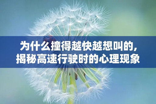 为什么撞得越快越想叫的,揭秘高速行驶时的心理现象