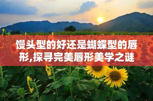 馒头型的好还是蝴蝶型的唇形,探寻完美唇形美学之谜