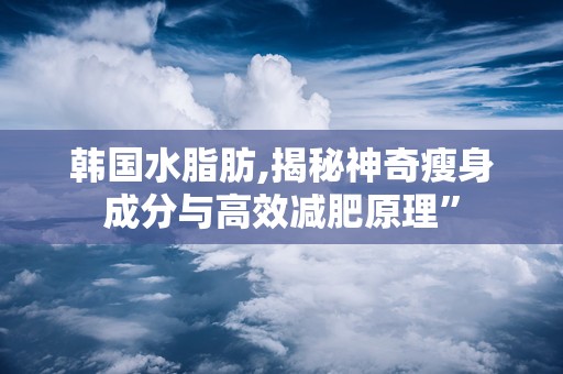 韩国水脂肪,揭秘神奇瘦身成分与高效减肥原理”