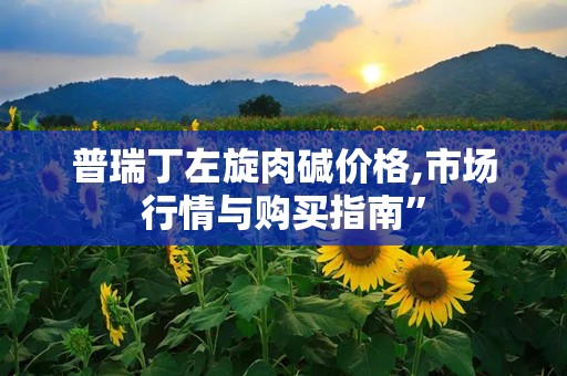 普瑞丁左旋肉碱价格,市场行情与购买指南”