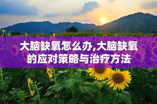 大脑缺氧怎么办,大脑缺氧的应对策略与治疗方法