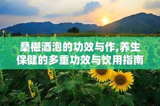 桑椹酒泡的功效与作,养生保健的多重功效与饮用指南