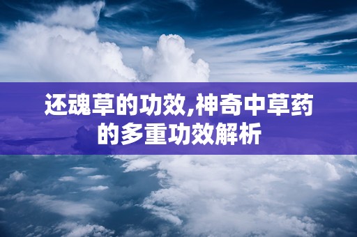 还魂草的功效,神奇中草药的多重功效解析