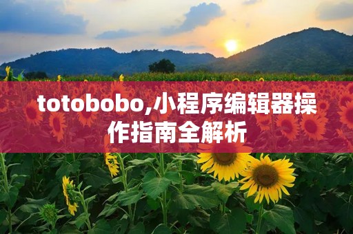 totobobo,小程序编辑器操作指南全解析