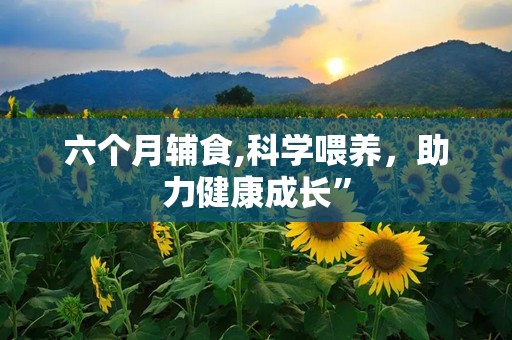 六个月辅食,科学喂养，助力健康成长”