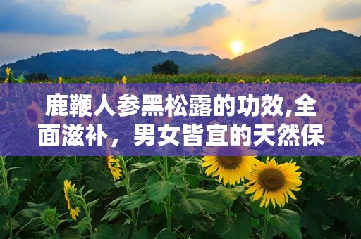 鹿鞭人参黑松露的功效,全面滋补，男女皆宜的天然保健品