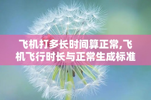 飞机打多长时间算正常,飞机飞行时长与正常生成标准