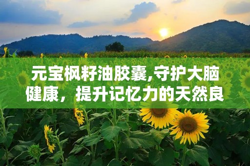 元宝枫籽油胶囊,守护大脑健康，提升记忆力的天然良方”