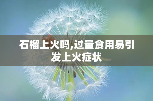 石榴上火吗,过量食用易引发上火症状