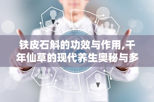 铁皮石斛的功效与作用,千年仙草的现代养生奥秘与多重益处解析”