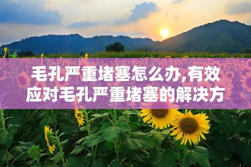 毛孔严重堵塞怎么办,有效应对毛孔严重堵塞的解决方案与预防策略”
