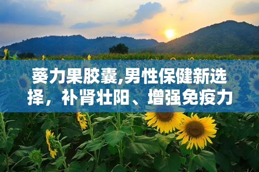 葵力果胶囊,男性保健新选择，补肾壮阳、增强免疫力