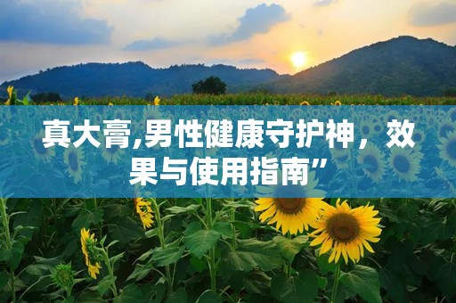 真大膏,男性健康守护神，效果与使用指南”