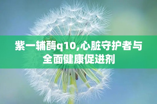 紫一辅酶q10,心脏守护者与全面健康促进剂