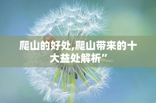 爬山的好处,爬山带来的十大益处解析”