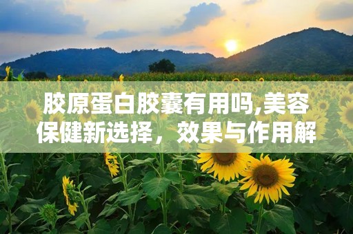 胶原蛋白胶囊有用吗,美容保健新选择，效果与作用解析