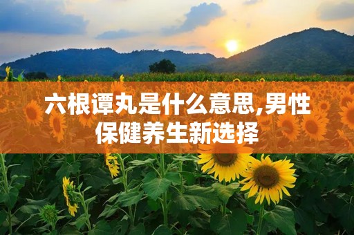 六根谭丸是什么意思,男性保健养生新选择