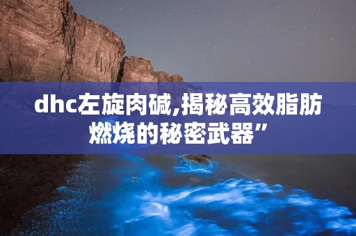 dhc左旋肉碱,揭秘高效脂肪燃烧的秘密武器”