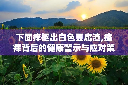 下面痒抠出白色豆腐渣,瘙痒背后的健康警示与应对策略”