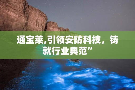 通宝莱,引领安防科技，铸就行业典范”