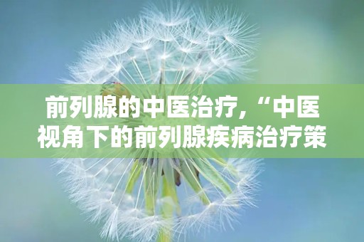前列腺的中医治疗,“中医视角下的前列腺疾病治疗策略与日常保健”