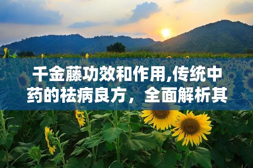 千金藤功效和作用,传统中药的祛病良方，全面解析其功效与作用